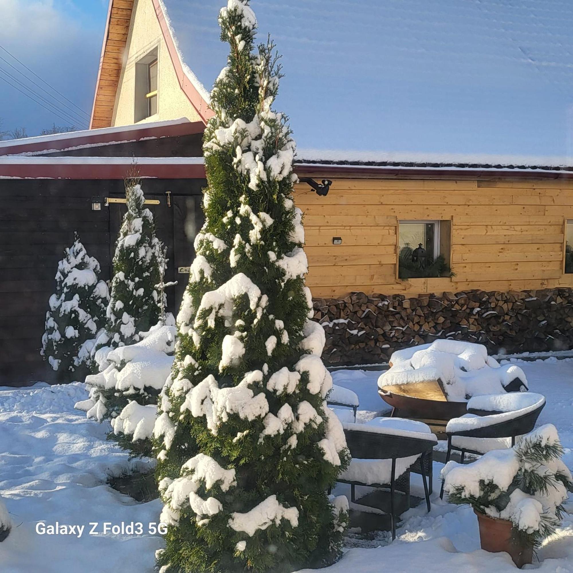 Chalet-Beskydy ปรอสเชดนี เบชวา ภายนอก รูปภาพ